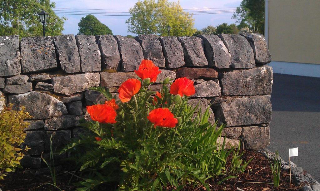 Ashfield House B&B Cong Exterior foto